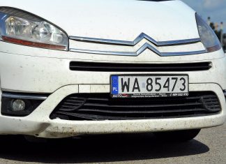 Jak usunąć owady z lakieru samochodu? Sama woda nie wystarczy!