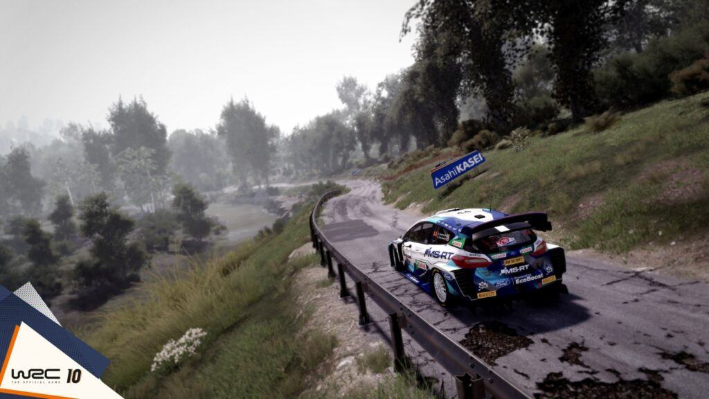 WRC10 Ford