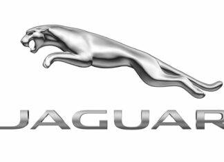 Logo Jaguar – jak zmieniało się logo brytyjskiej marki?