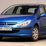 Filtr kabinowy Peugeot 307 (2001-2009) – jaki wybrać, jak wymienić?