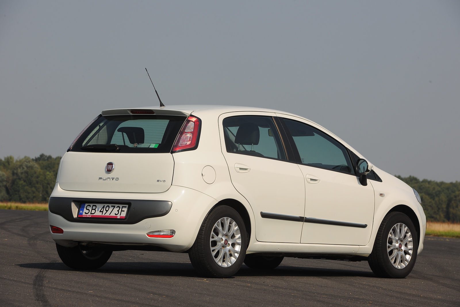 Fiat Punto Evo Van 2009–2011 - żarówki tył