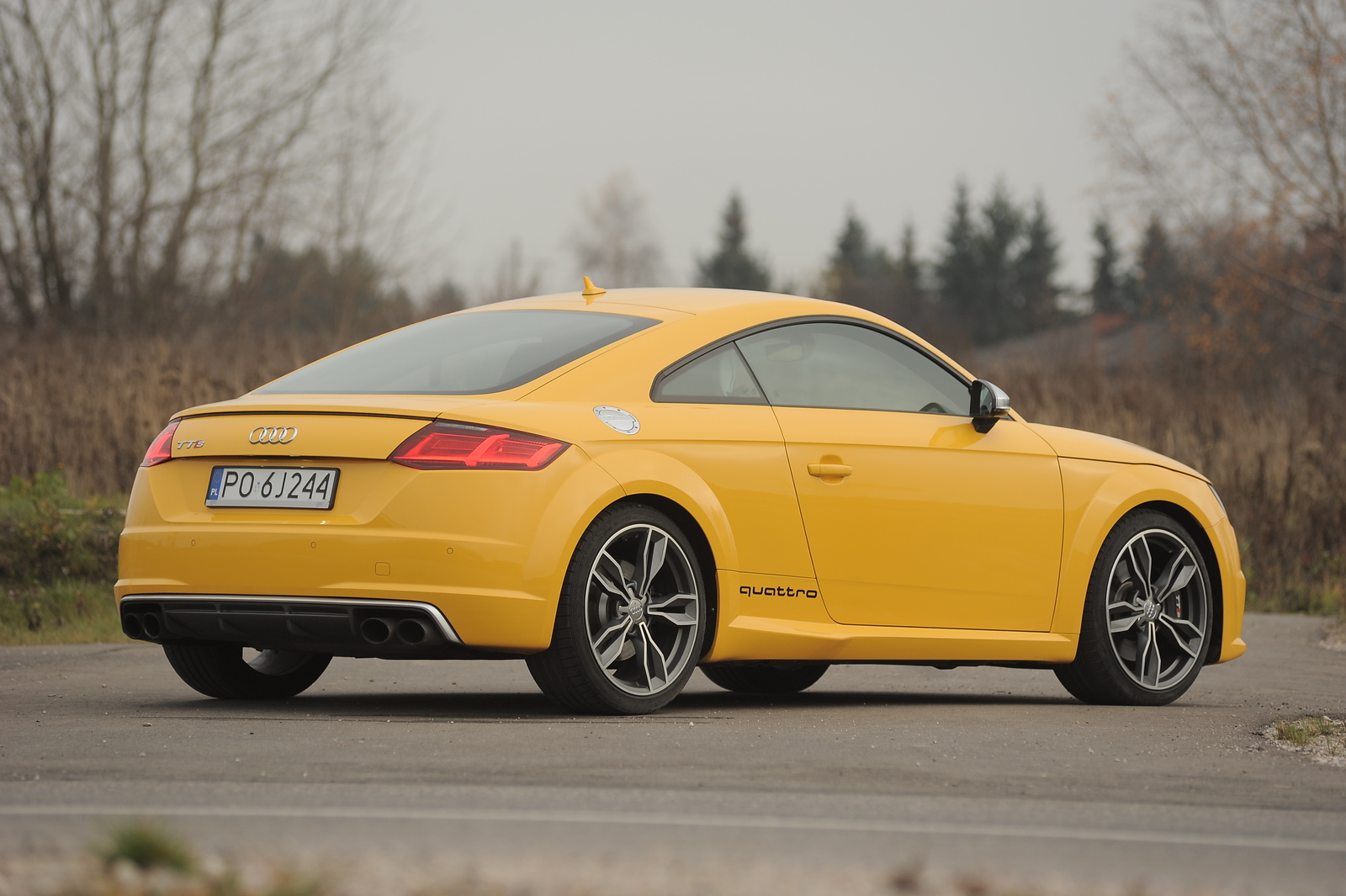 Audi TT FV Coupe 2014–2023 - żarówki tył