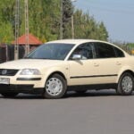 zarowki-Volkswagen-Passat-B5-FL-20002005